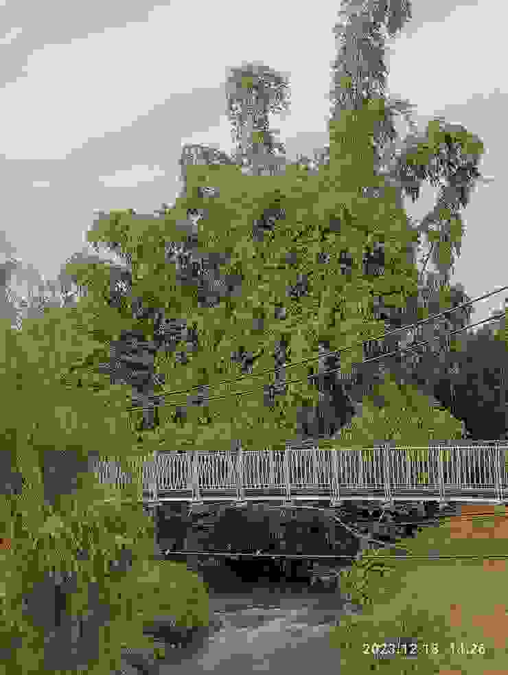 渡橋過水