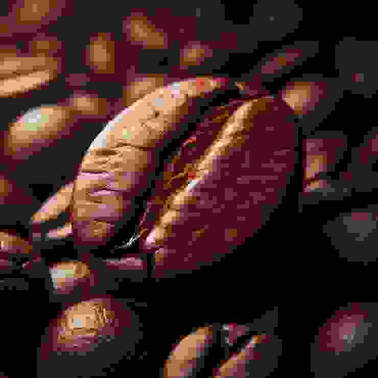 羅布斯塔咖啡豆