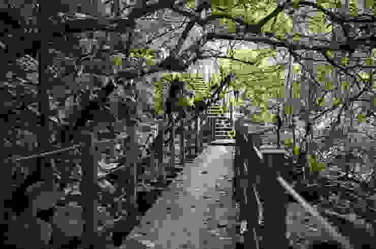沿溪步道走著走著，會進入一段有點叢林感的棧道