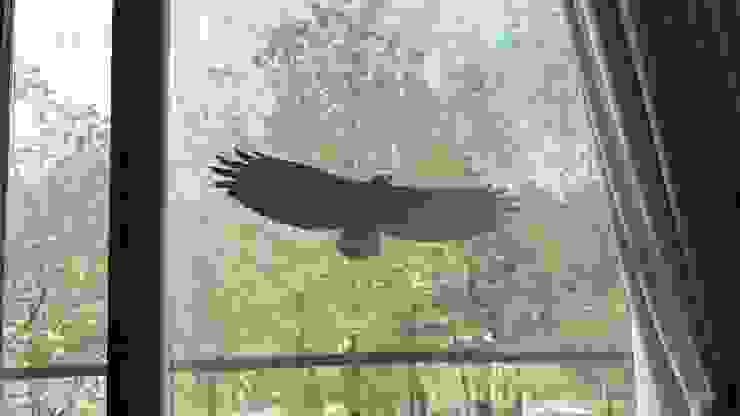 在透明的窗上，張貼猛禽影像貼紙，以防校園內的五色鳥發生誤撞玻璃的意外。（照片｜默默書店）