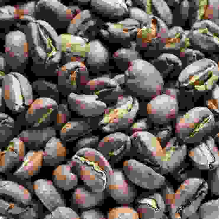 水洗處理的咖啡豆常見中間有一條白色的線