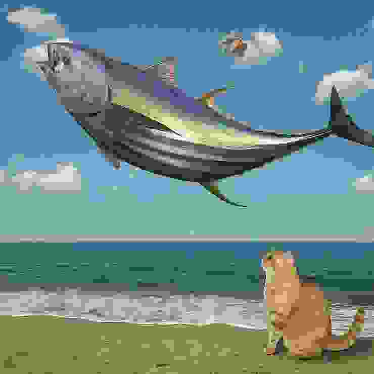 A man is flying on the beach holding a tuna, being watched by a big orange cat.