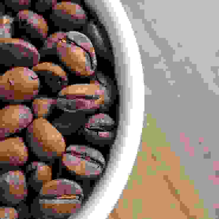 咖啡豆的適當保存，對於每個愛喝咖啡的人來說都非常重要