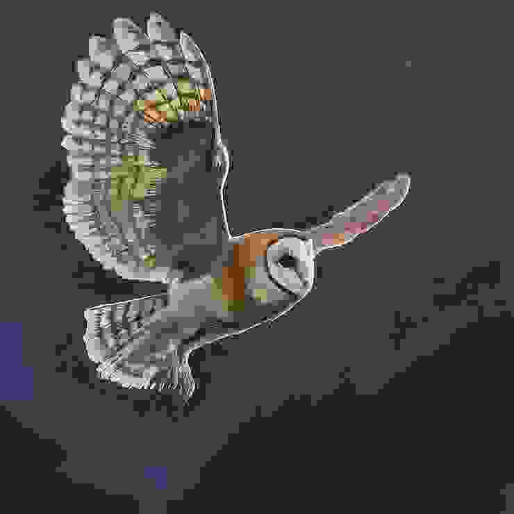 Owl Soaring Through the Night Sky, realistic , highly detailed ,