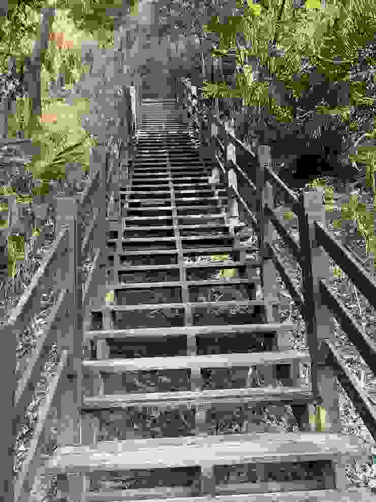 大坑十號登山步道 階梯