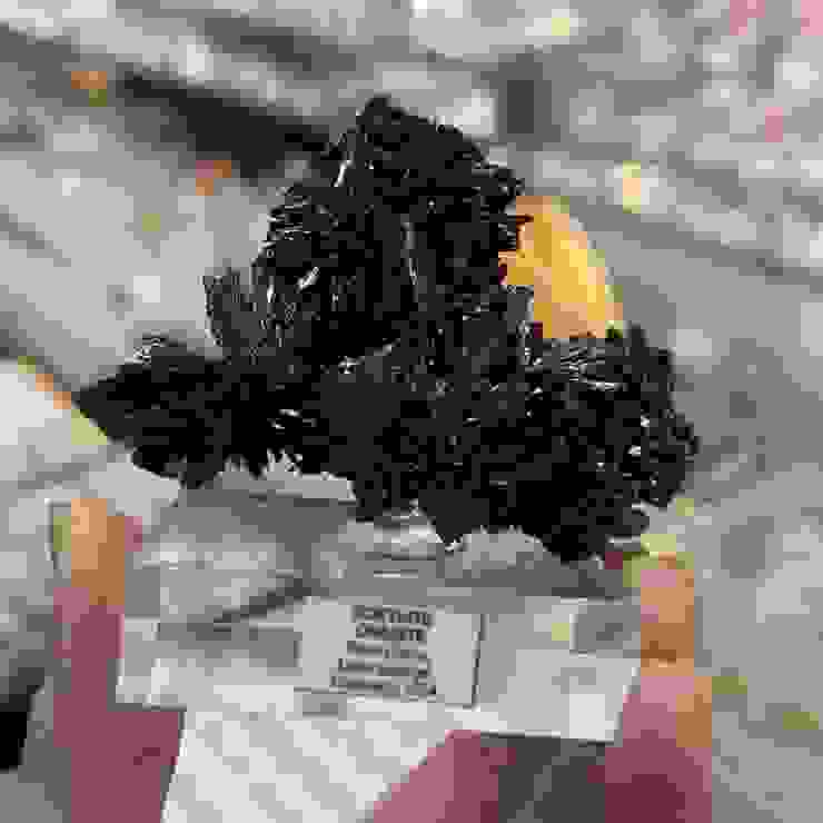 美國的花形針鐵礦，像精緻的黑色花朵，有著極好的光澤。