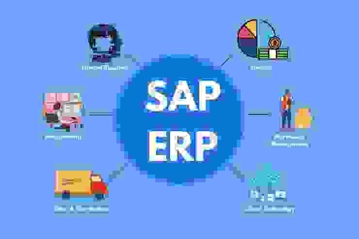 SAP ERP是現今大型企業最常使用的ERP系統，SAP是家德國公司。