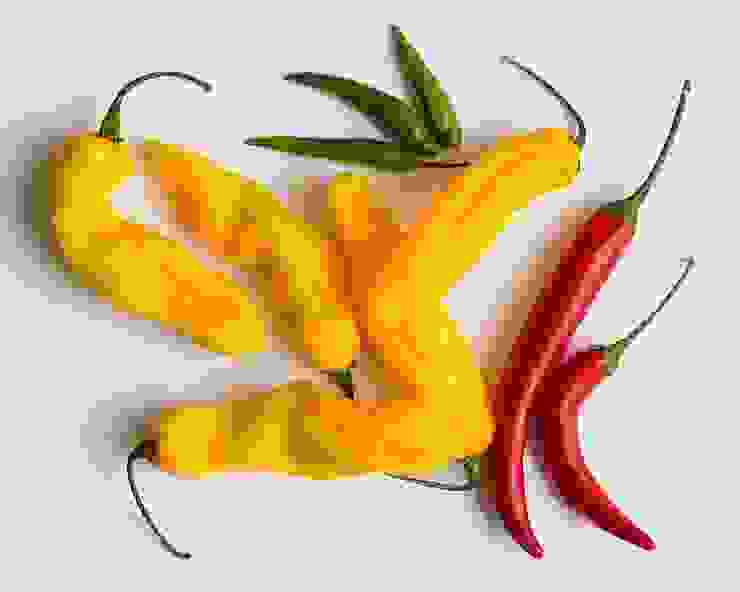 各種不同的辣椒。圖片取自維基百科。