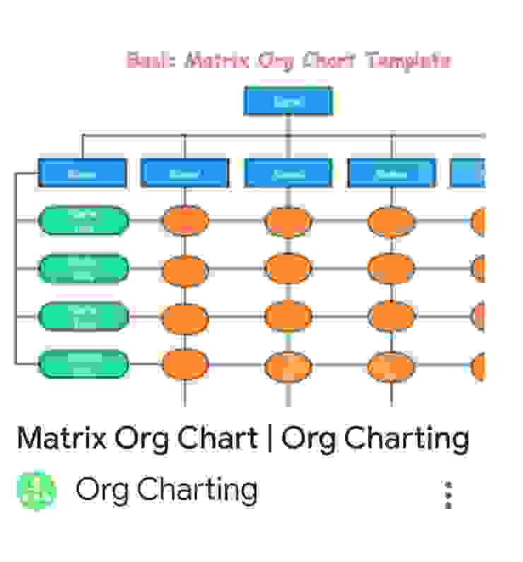 Matrix Organisational Chart 矩陣型組織結構圖，取材自網路資料。