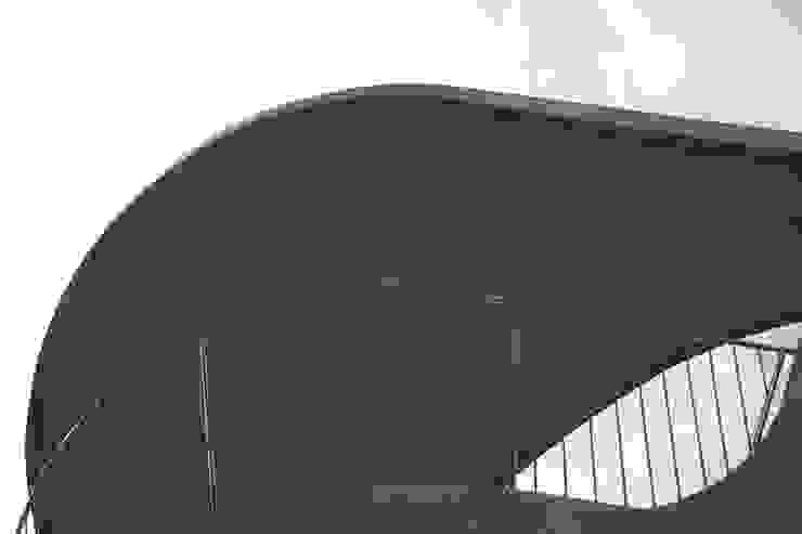 鯨魚/曲線