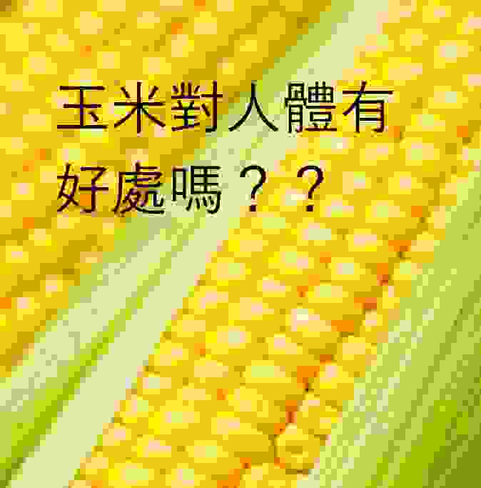 玉米真這麼好嗎未解之謎