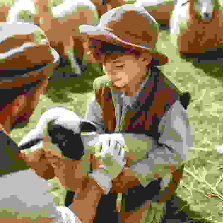 小孩與小羊的互動