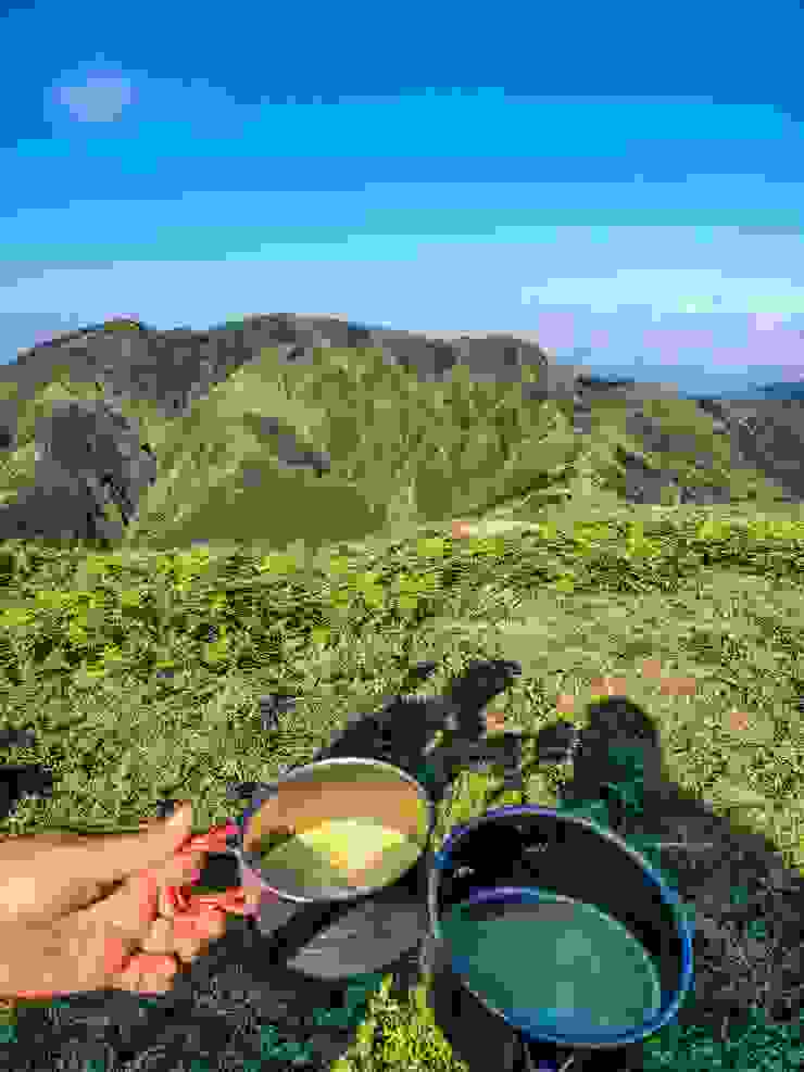 阿鵝應景的抺茶和抺茶山