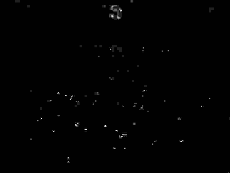 滿山滿谷的螢火蟲十分驚艷！真是太美了！
