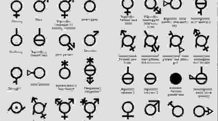據說 gender 有64種﹔但假如 gender 是社會建構，為什麼只有64種?