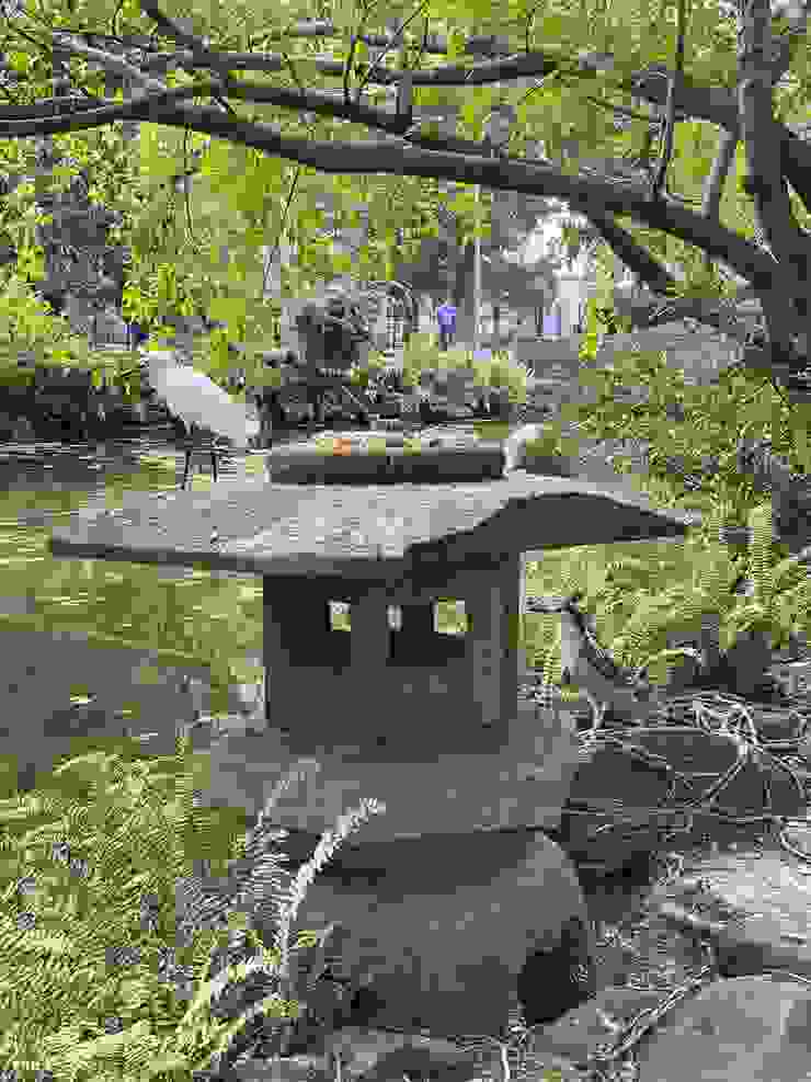 二二八公園石燈籠的今朝，被小白鷺及夜鷺佔領，石燈籠的地基也沒入池邊的鐵線蕨中。2024/02/18。