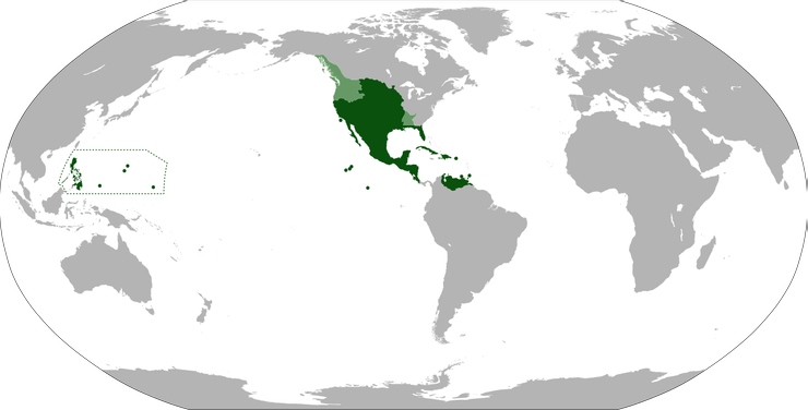 版圖遼闊的新西班牙總督區，包含北美洲、中美洲、加勒比、菲律賓。後來連委內瑞拉都督府也歸其節制