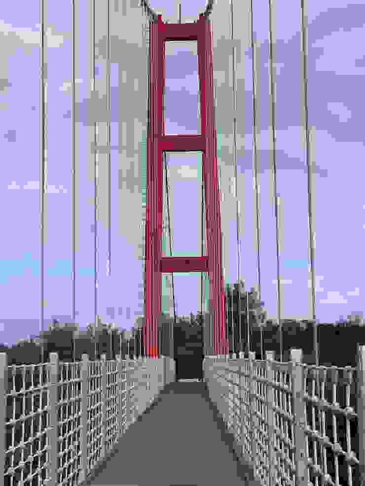 穿過濱海生態的龍門吊橋。
