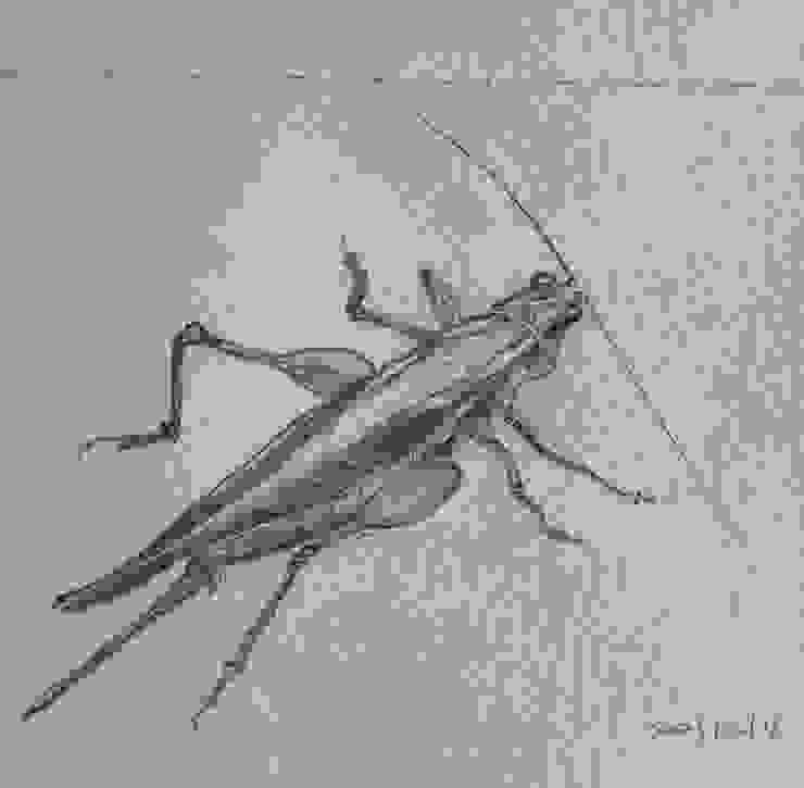 圖 2，小徑上的昆蟲  5 月繪