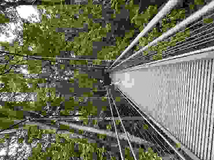 這座吊橋橫跨峽谷，可近距離觀察峽谷內及其周圍的植物、野生動物和森林樹冠。（圖 by Vina)