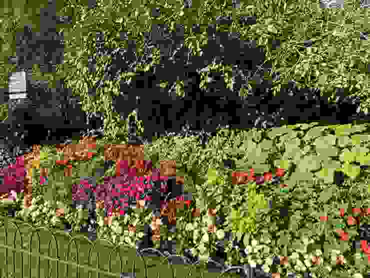 semi-formal border（矮欄杆）保護圈內英式洛可可風花園
