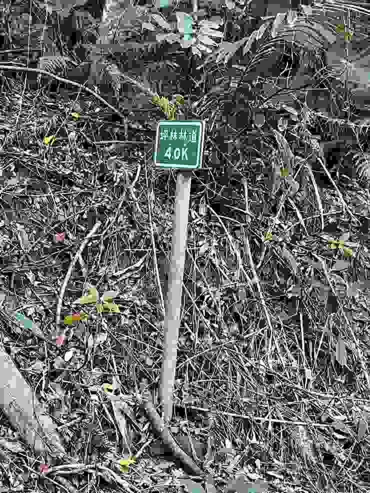 坪林林道路程標示