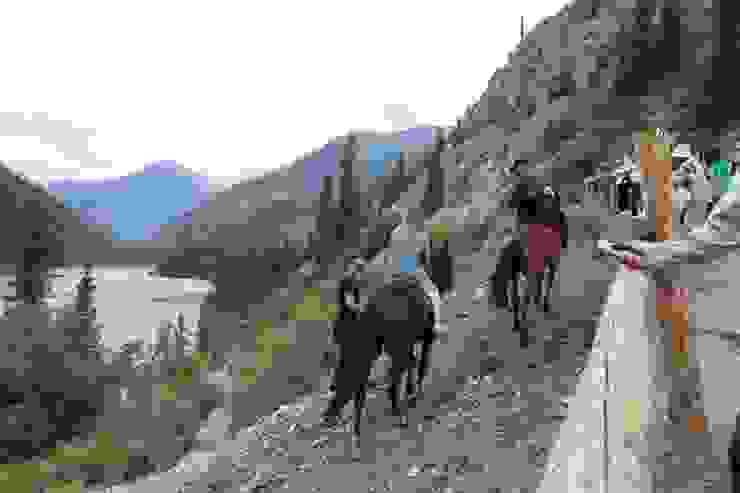 騎馬體驗活動。另有前往中科爾賽湖和上科爾賽湖，長達一天的騎馬行程。