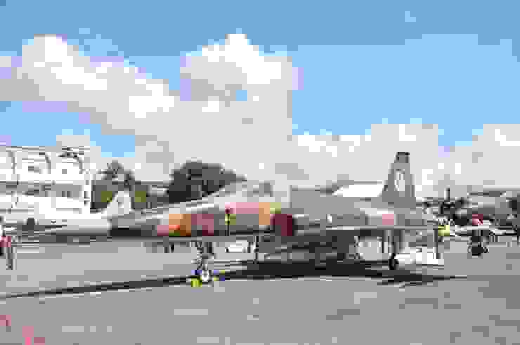 C構型的F-5E，翼下掛有AGM-65B小牛飛彈練習彈。該機塗裝為被稱作"匪地優"的叢林迷彩。