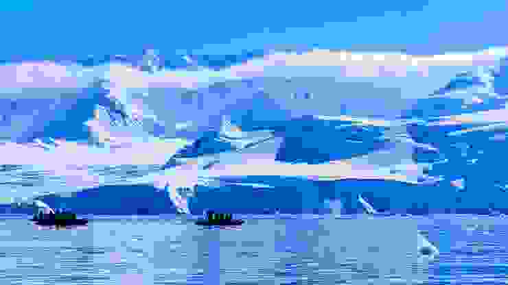 遠處有座頭鯨噴氣，橡皮艇紛紛疾駛前去。