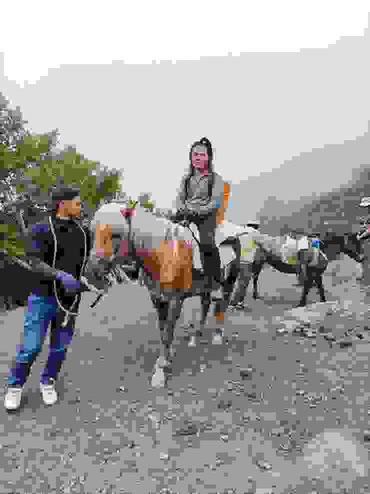 隊中的帥哥在最後兩公里花了2萬日幣棄甲坐上"Uber"，下山之後他連稱值得─在富士山上騎馬的經驗可以說上很多年吧！