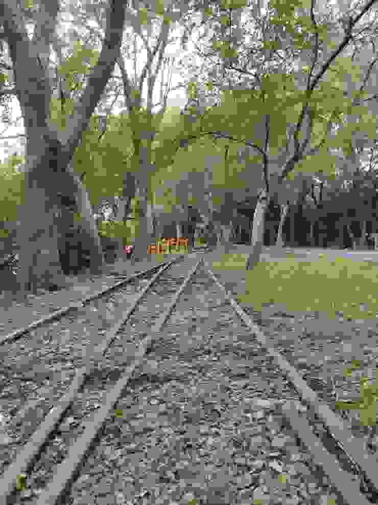 目前東豐線唯一留下的鐵軌痕跡  河童拍攝/2023年