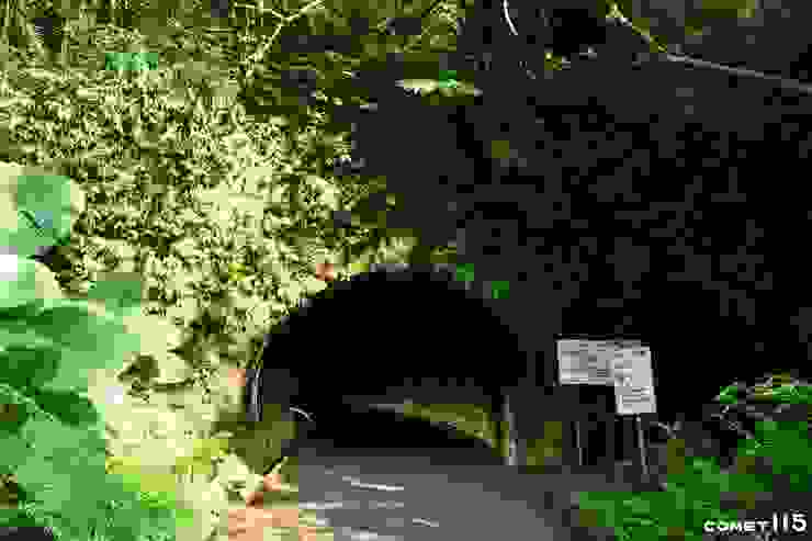三貂嶺隧道北口插滿遇到蝙蝠要牽車慢行的公告，但其實騎自行車快速通過才是對蝙蝠最小干擾的方式