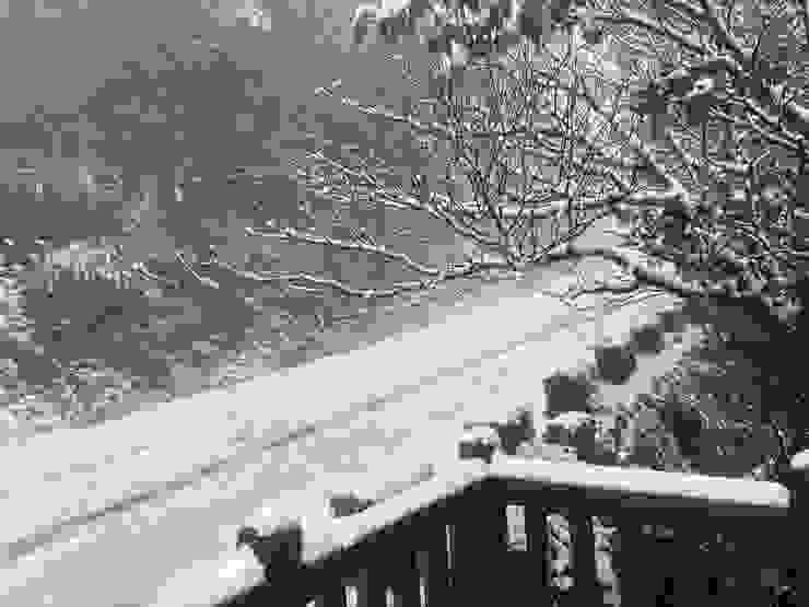 宛如雪國美景，卻是「陽明山」！雖行路時已無降雪，但地面上的積雪，厚的地方至少三到五公分。（攝影：抱城，2024/1/23）