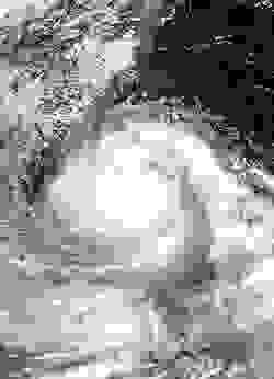 海葵颱風最強時的衛星圖像