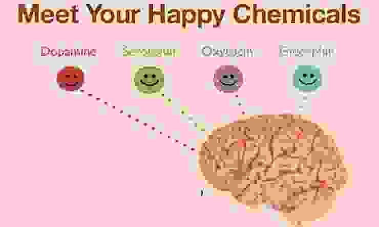 圖片來源：https://www.thehansindia.com/life-style/lets-hack-the-happy-chemicals--dopamine-serotonin-and-endorphins--570197