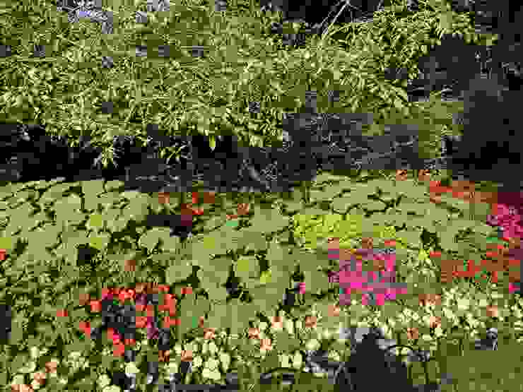 flowering shrub（開花的灌木）與herbaceous plant（草本植物）構成英式洛可可風花園