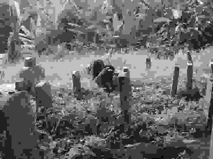 2009 年發現 513 義山的張吉安/張吉安提供