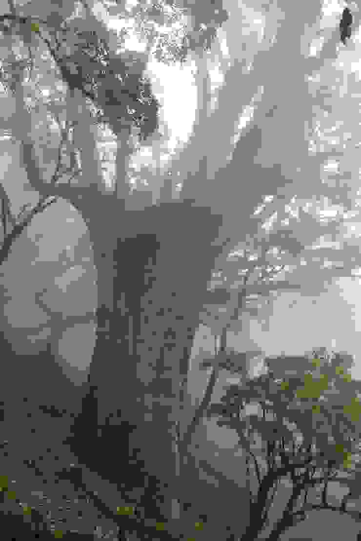 大浦山下特別的併生大紅檜「巨人之手」，樹幹基部是正在擁抱它的隊友謝瑋，剛好當比例尺。