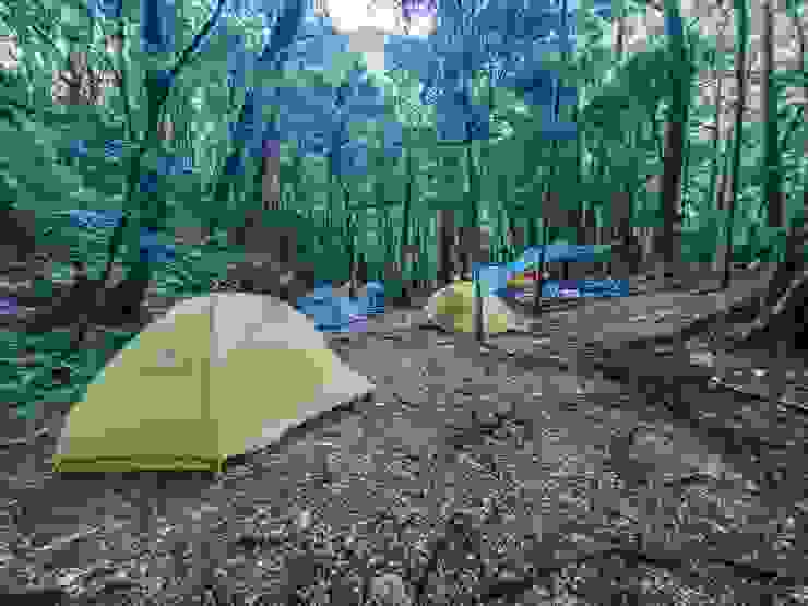 新武呂溪營地在樹林裡，腹地不小，有水源，是適合紮營的地點。