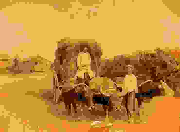 由馬偕牧師拍攝，早期台灣農村以牛車搬運稻草的畫面。攝於清代（圖源開放博物館）