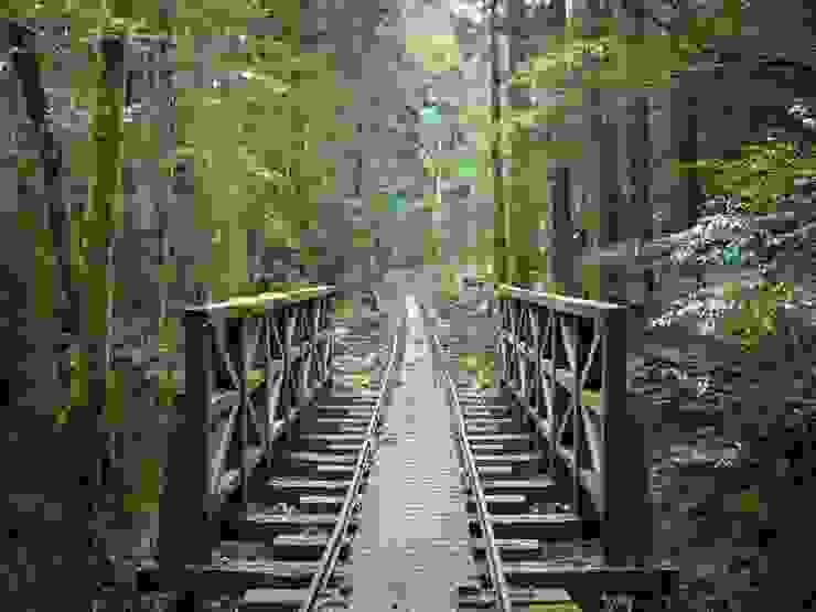 HASSELBLAD XCD 2,5/55V鏡頭下，靜謐的安房森林鐵道