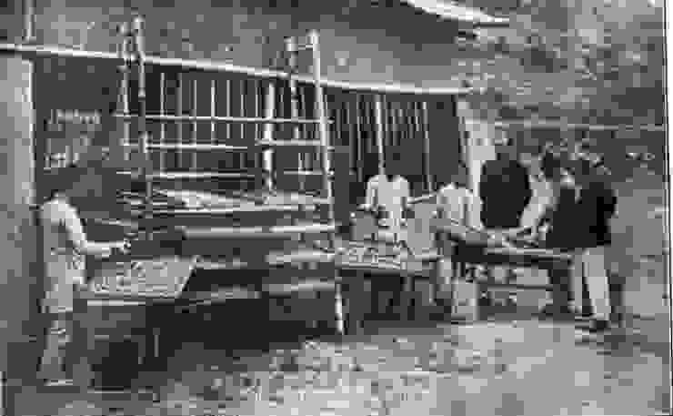 新竹廳大湖公學校的學童正在進行養蠶實習。1916年出版（圖源：台灣舊照片資料庫）