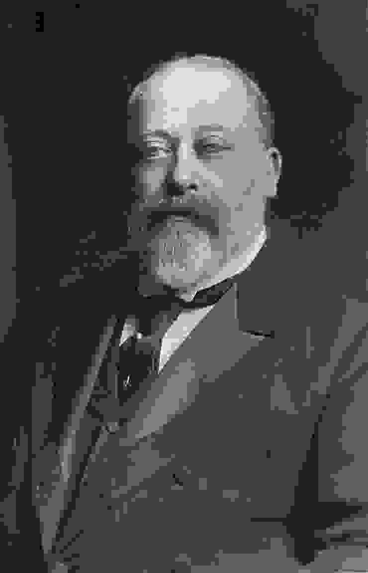 時任英國王儲愛德華七世（King Edward VII, 1841~1910）。來源：維基百科。