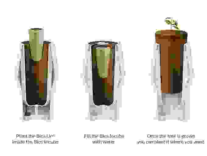 圖六 Bios Incube樹苗茁壯  資料來源-Kickstarter專案頁面