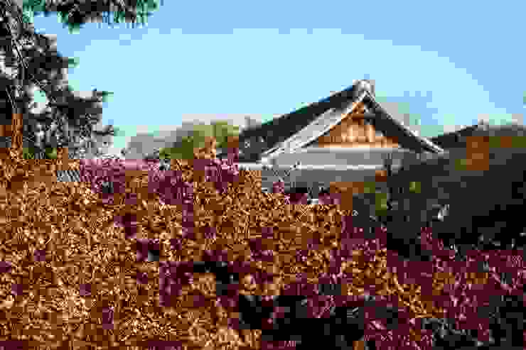 東福寺的紅葉