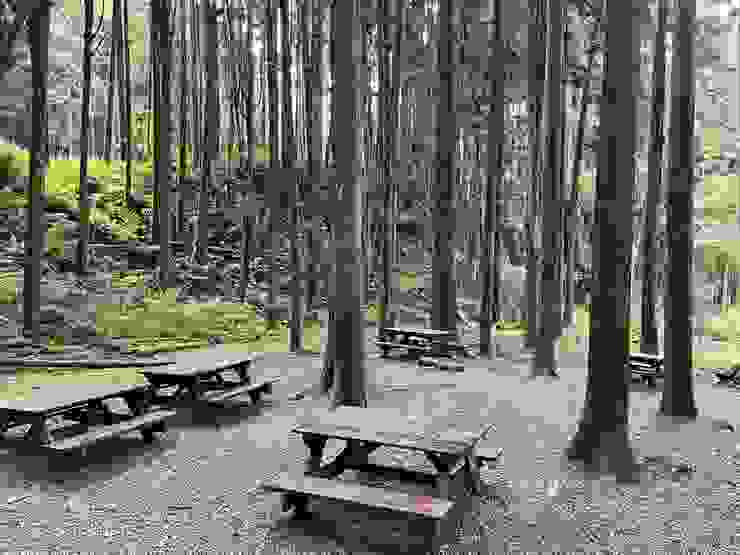林間木椅