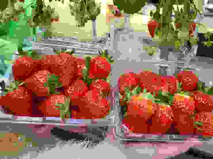 大草莓兩盒裝滿