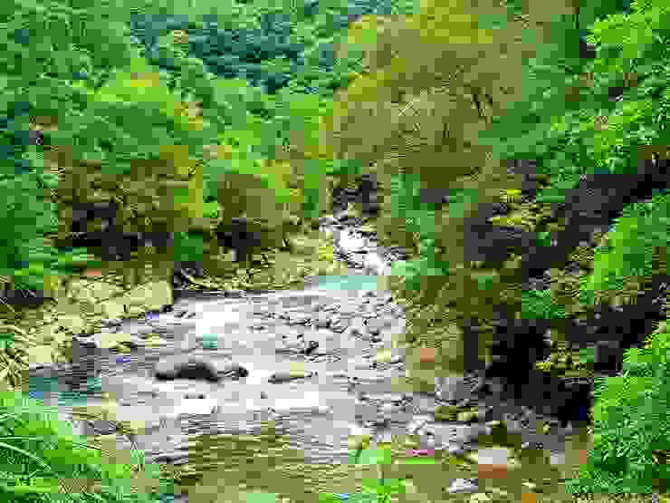 桶後溪清澈的溪流可媲美合歡溪谷