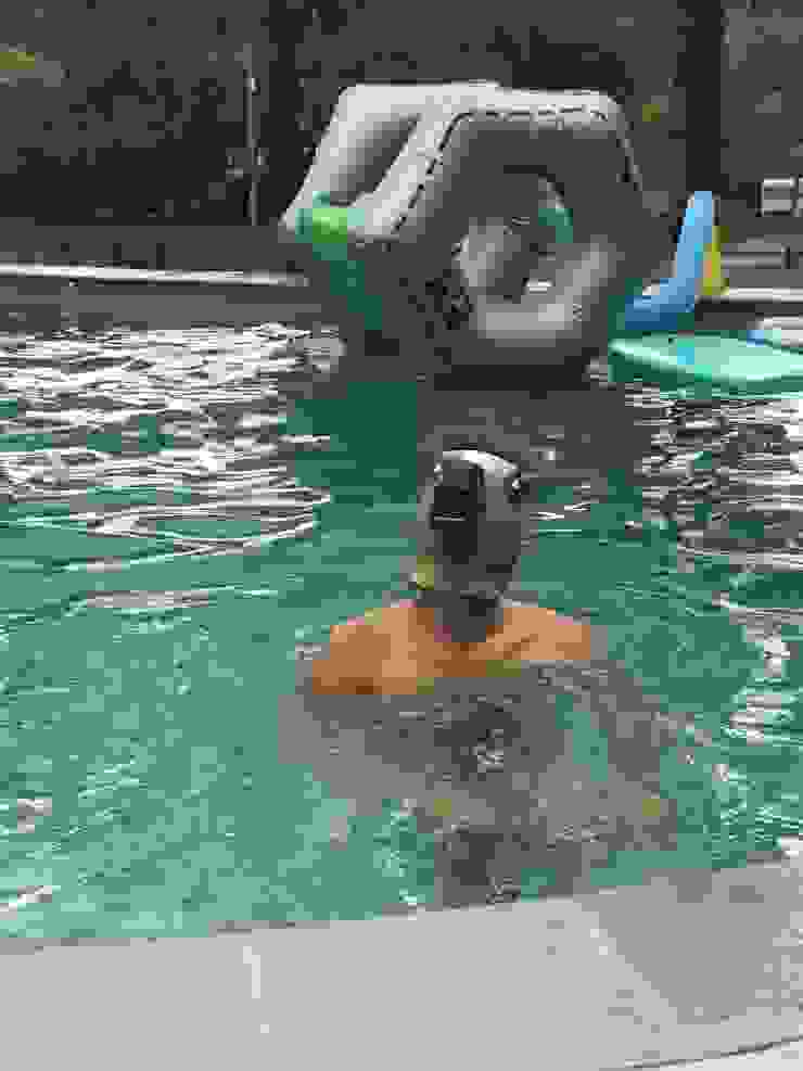 我在澳洲游泳池玩水的照片
