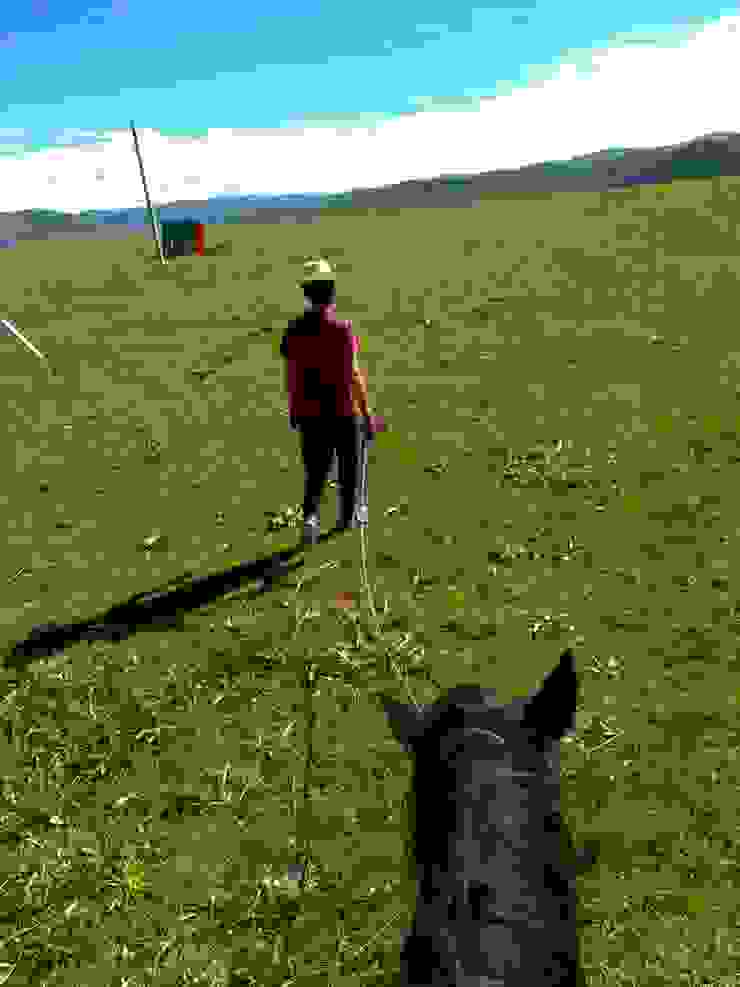 藏地的初次騎馬體驗，牧民會幫你拉著馬